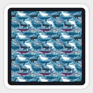 Dolphins Pattern Sticker